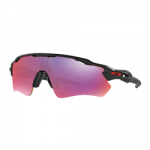 Oakley Radar Ev Path Matte Black /Prizm Road