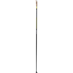 Swix Quantum 2 Skidstav