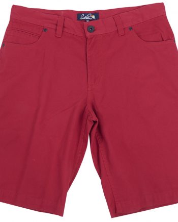Ap Shorts 1234