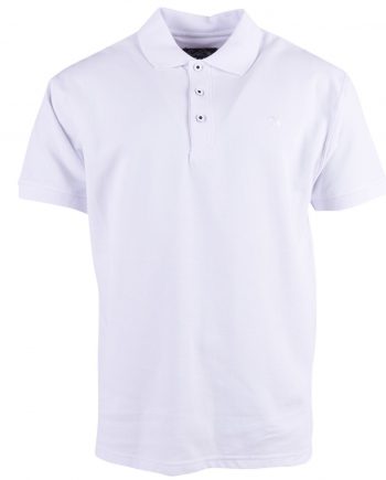 Ap Piké 913