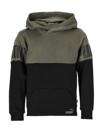 Puma Power Colorblock Hoodie