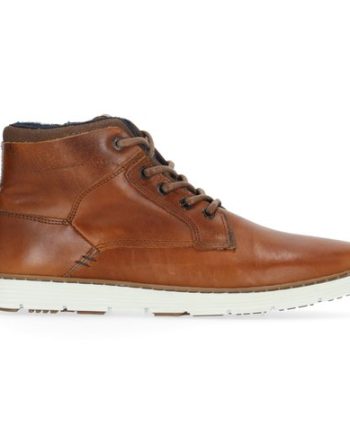 Bax Mid M