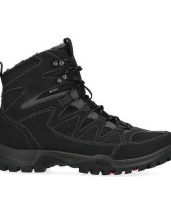 Xpedition Iii M High Gtx Warm
