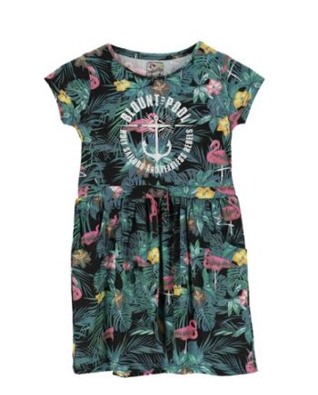 Pink Flamingo Aruba Dress Jr
