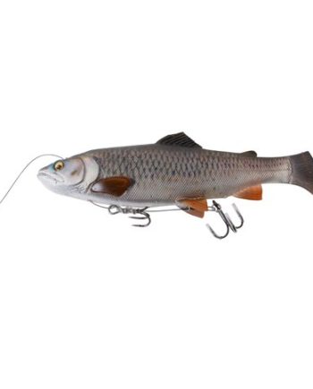 B-Sg 4d Line Thru Trout 30cm