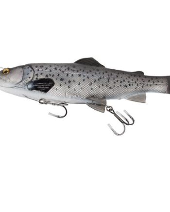 B-Sg 4d Line Trout Rattle 27cm