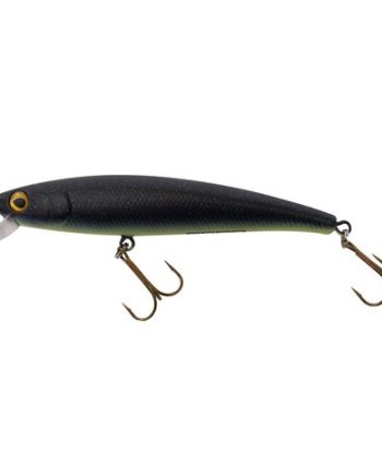 Pc Bigeye Minnow