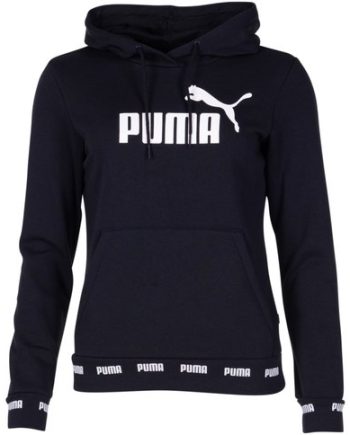 Amplified Hoody Tr