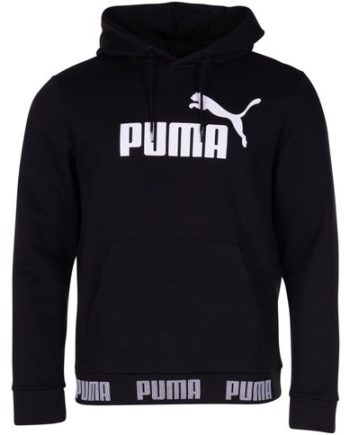 Amplified Hoody Fl