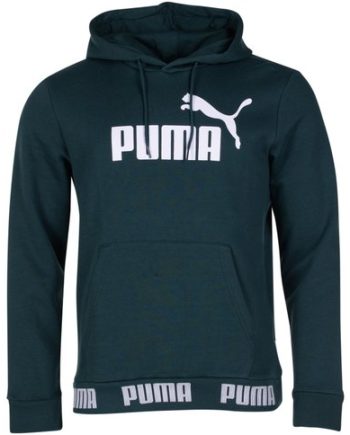 Amplified Hoody Fl