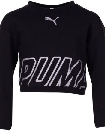 Alpha Crew Sweat Tr G