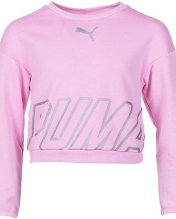 Alpha Crew Sweat Tr G