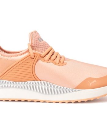 Pacer Next Cage St2