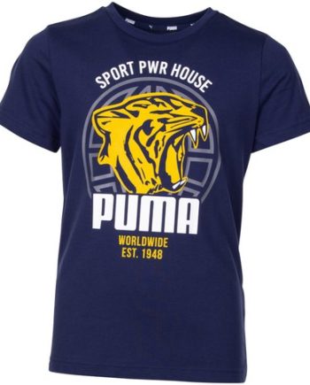 Alpha Graphic Tee B