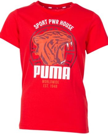 Alpha Graphic Tee B