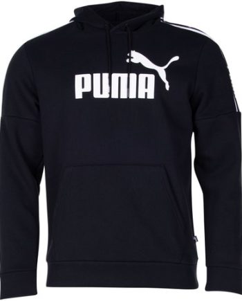Amplified Hoody Fl