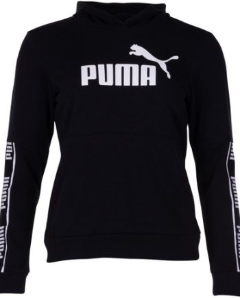 Amplified Hoody Tr