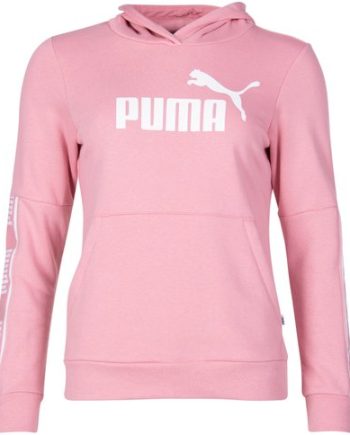 Amplified Hoody Tr