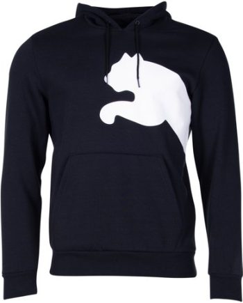Big Logo Hoody Fl