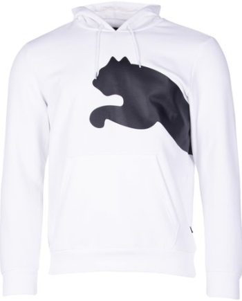 Big Logo Hoody Fl