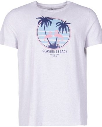 Aruba Flamingo Tee
