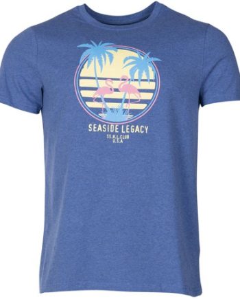Aruba Flamingo Tee