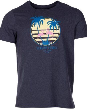 Aruba Flamingo Tee