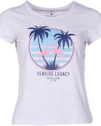 Aruba Flamingo Tee W