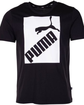 Big Logo Tee