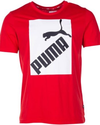 Big Logo Tee