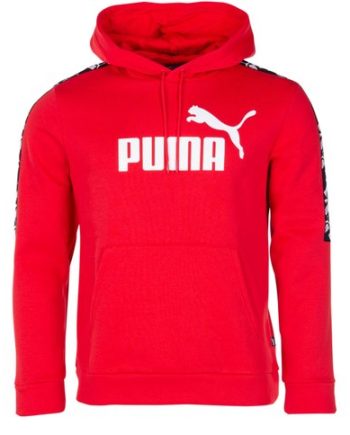 Amplified Hoody Fl