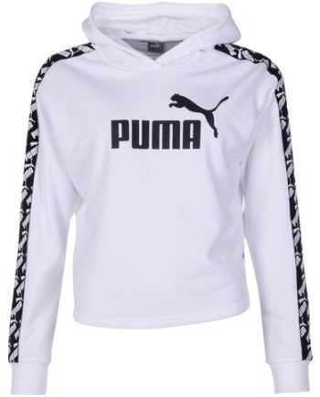 Amplified Cropped Hoody Tr