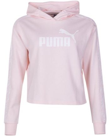 Amplified Cropped Hoody Tr