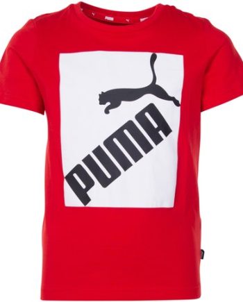 Big Logo Tee B