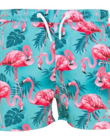 Beachshorts