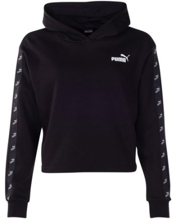 Amplified Cropped Hoodie Tr