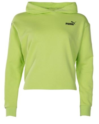 Amplified Cropped Hoodie Tr