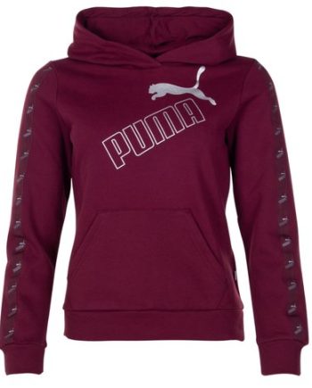 Amplified Hoodie Fl