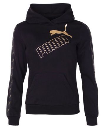 Amplified Hoodie Fl